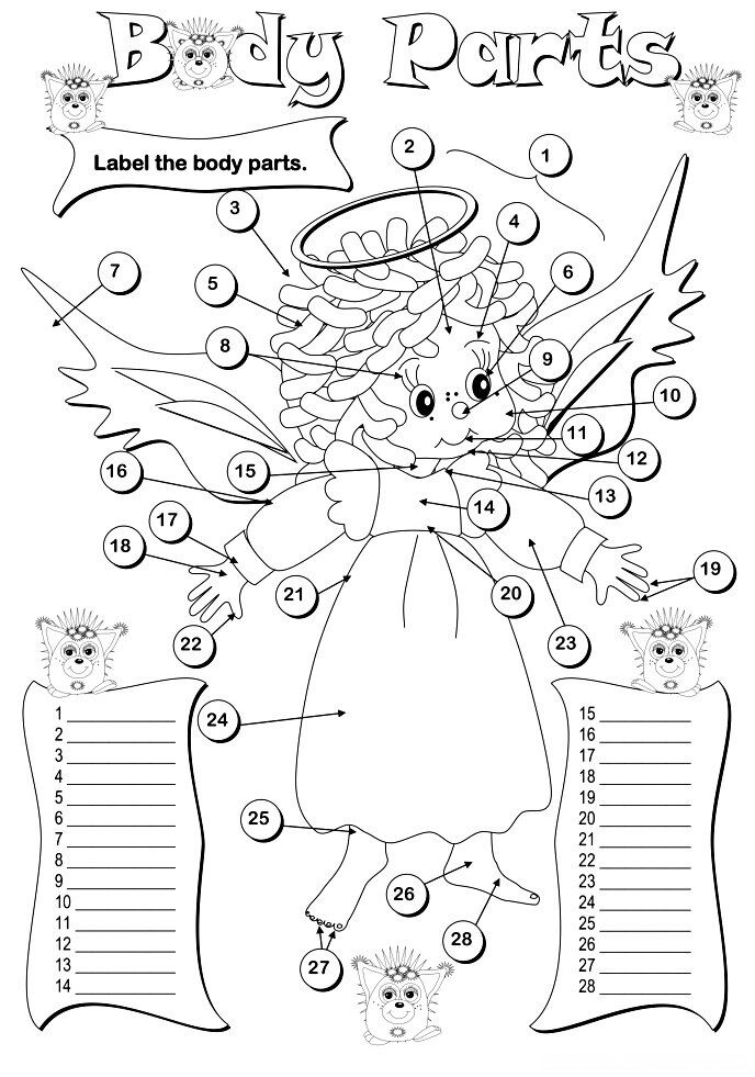 Body parts 4 lesson