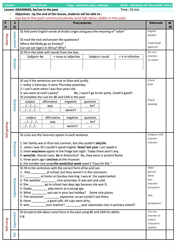 Be Can In the past lesson plan lesson plan.