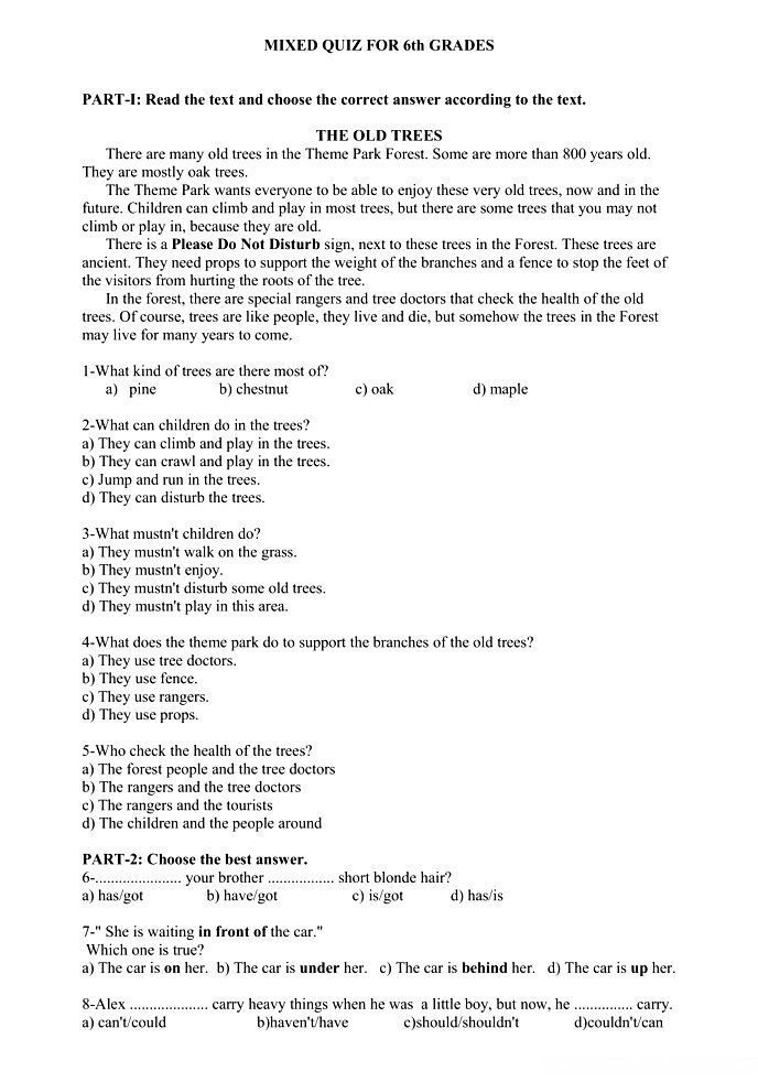 9th-grades-level-test-reading-grammar-vocab-Review-lesson